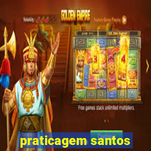 praticagem santos